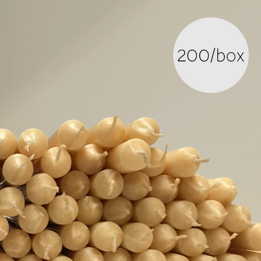 Dining candle beeswax 22x220mm box of 200