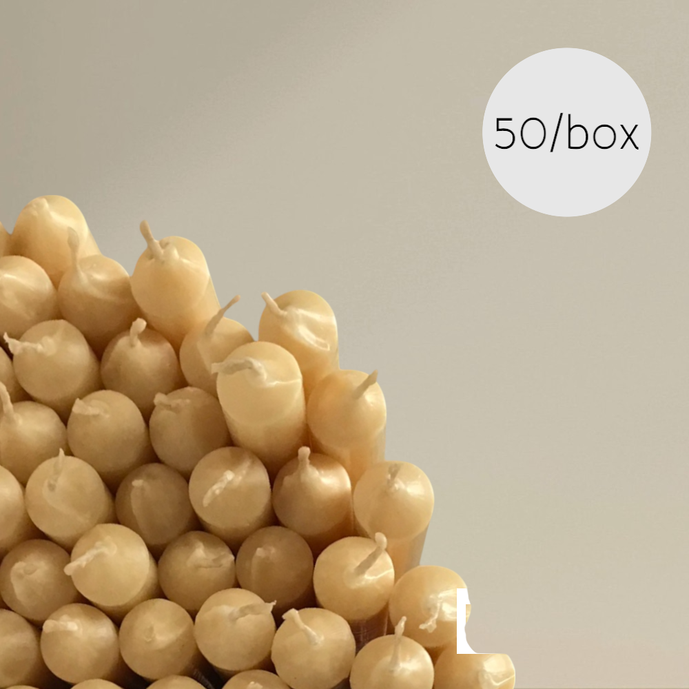 Dining Candle Beeswax 22x220mm Box of 50